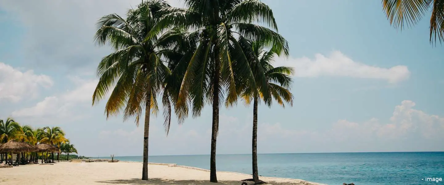 nibud vakantiegeld