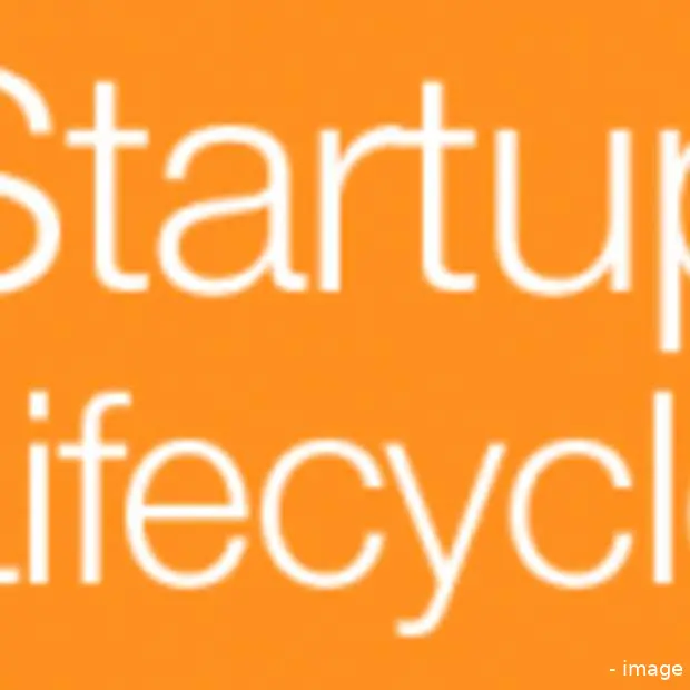 niet alle startups redden het infographi