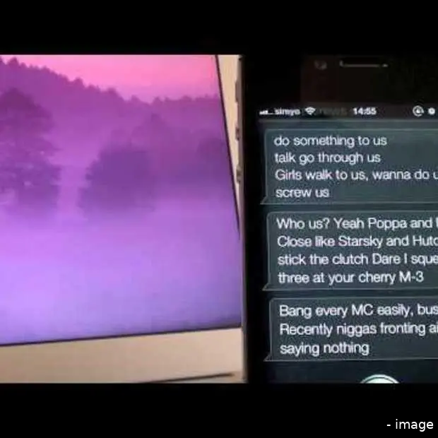 notorious siri