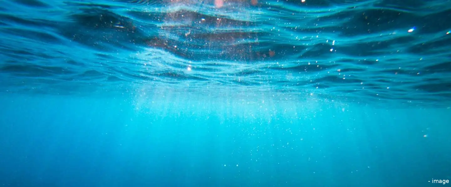 oceaan header
