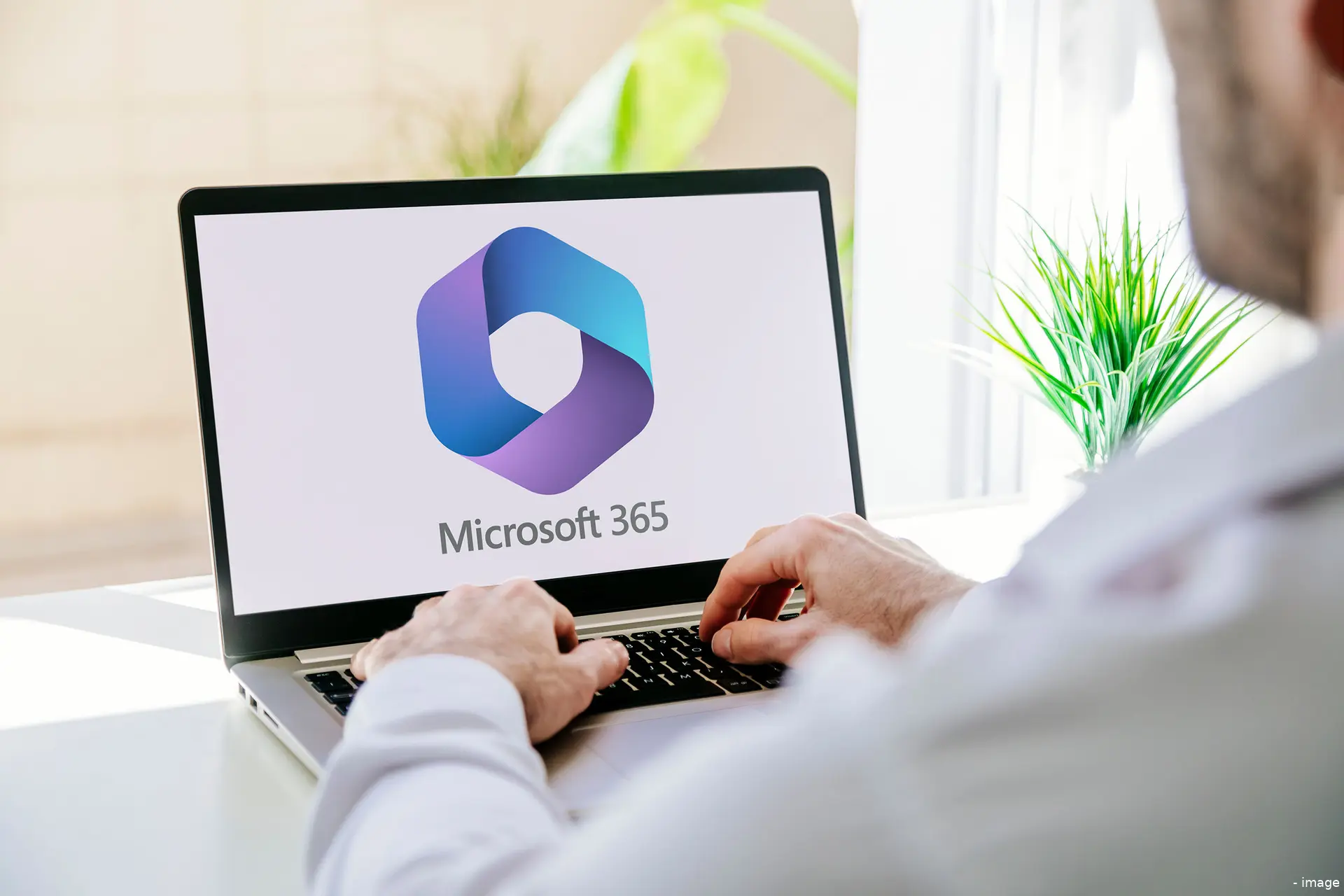 office 365