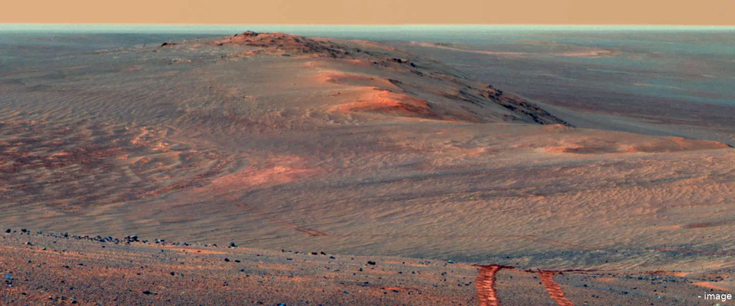 oppy