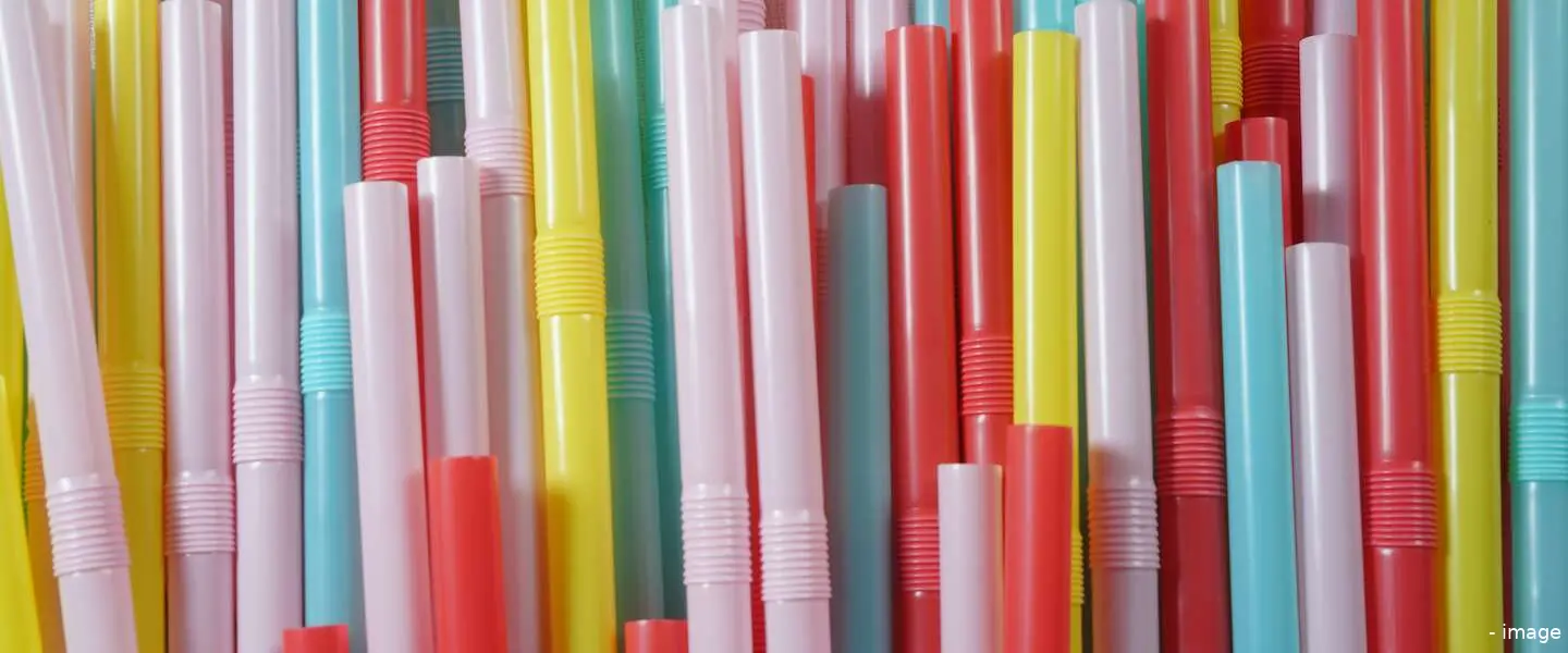 plastic verbod