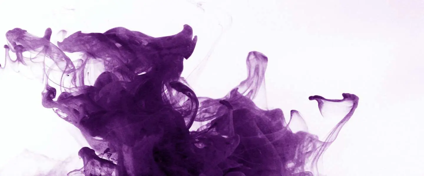 purple day epilepsie