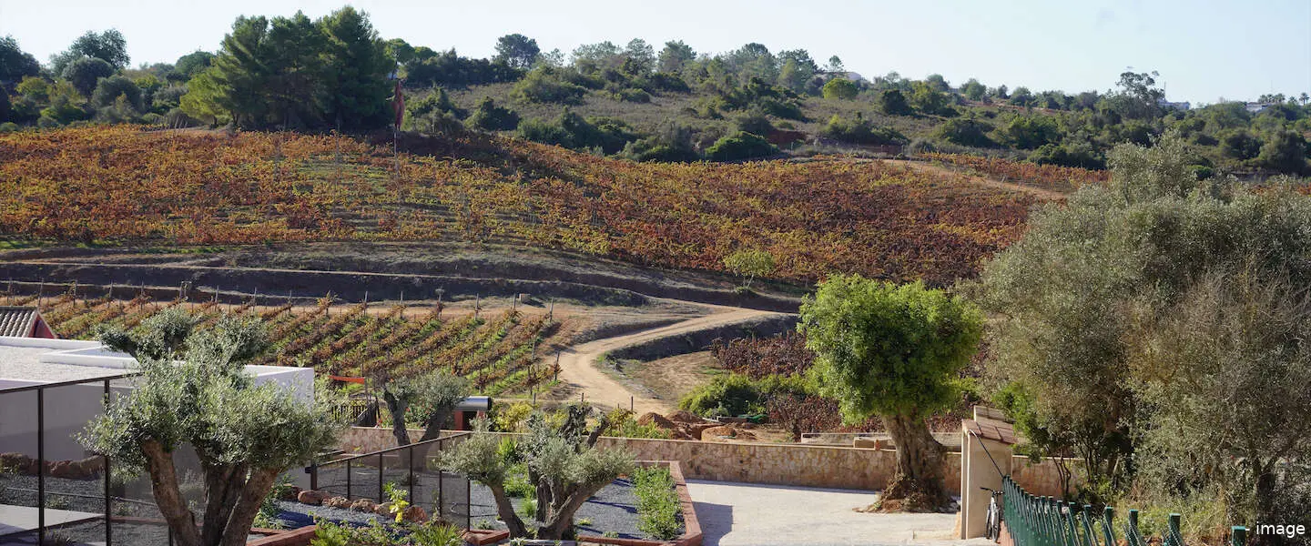 quinta dos vales wijnmaker