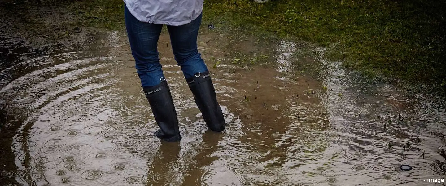 regen header
