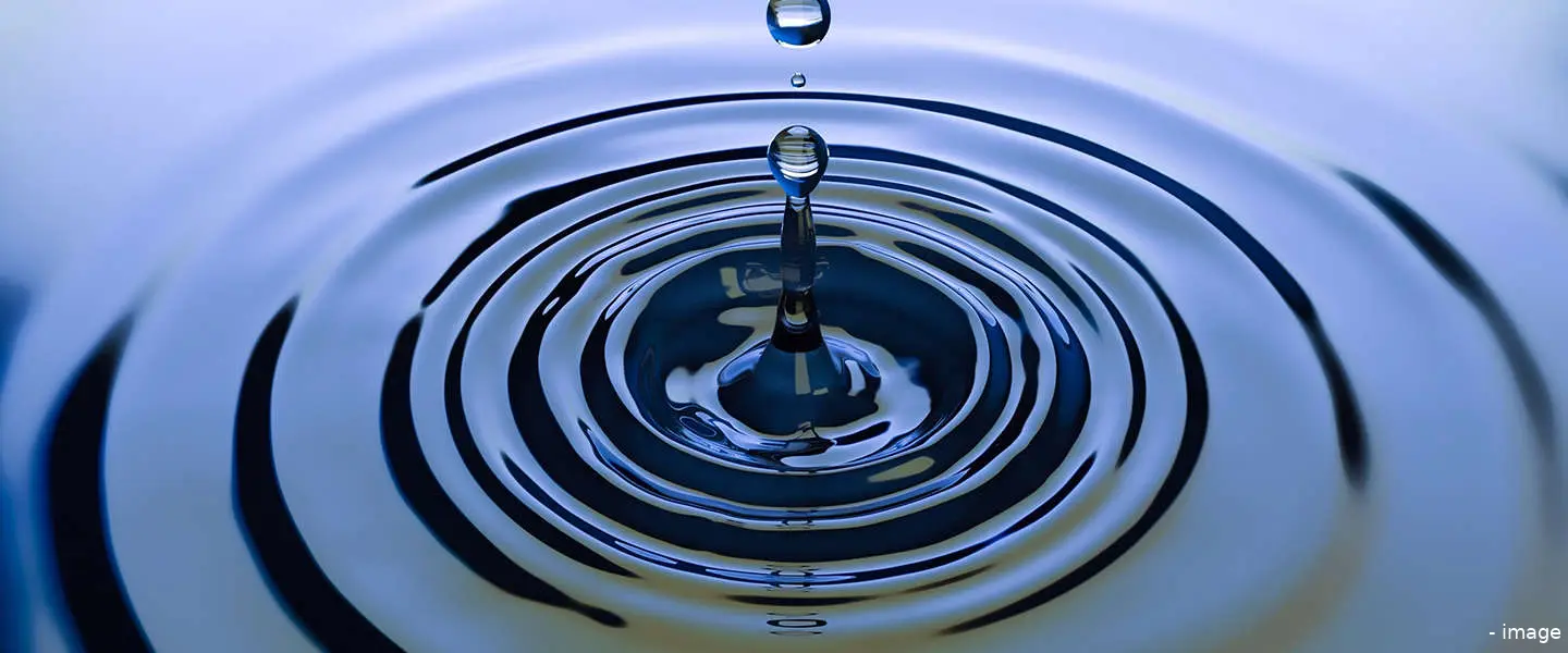 ripple china
