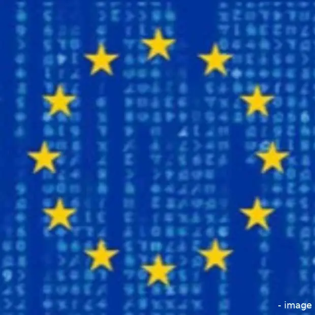 schaake hervorming van het europese aute