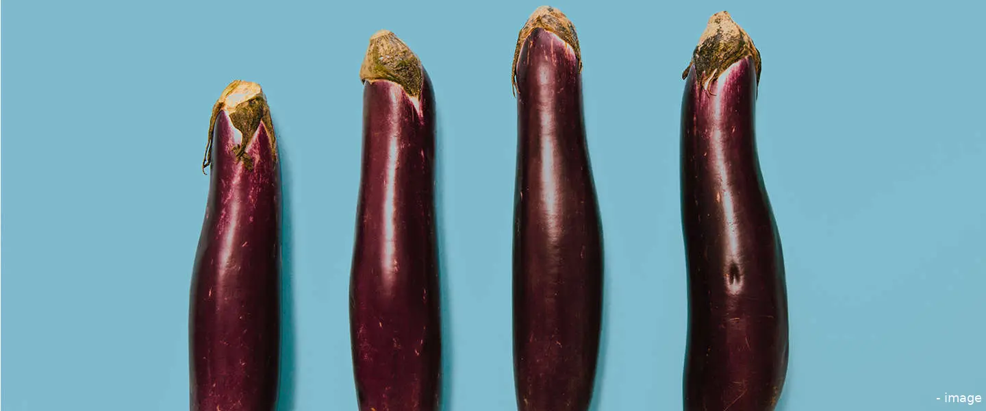 sextoys 2019