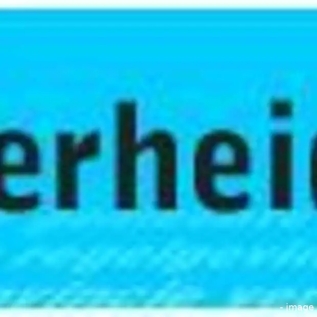 site van overheid te ingewikkeld