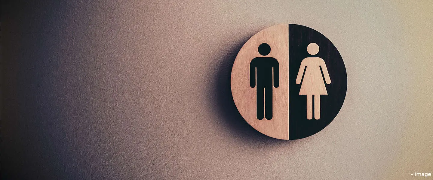 smart toilet 1