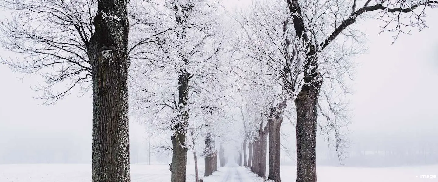 sneeuw code geel