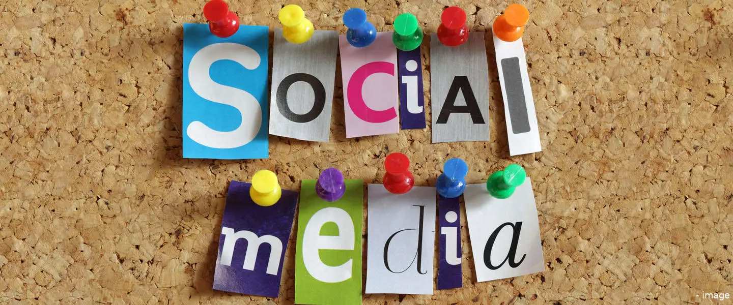 social media pinns