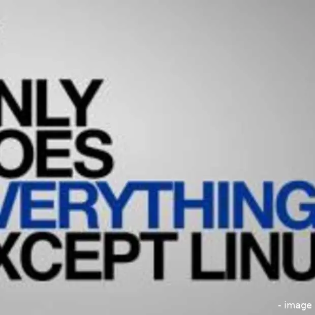 sony haalt linux uit ps3 eigen schuld di