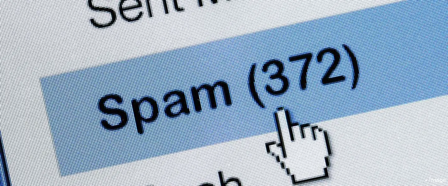 spam is king