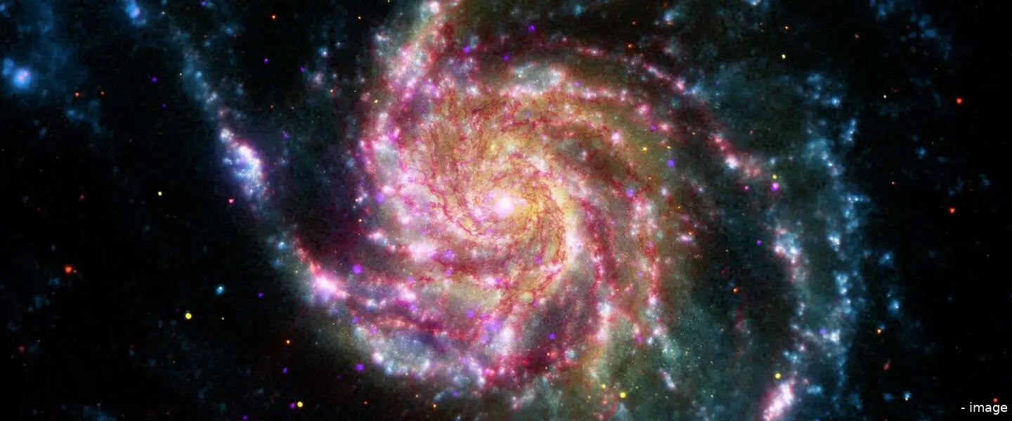 spinwheel header