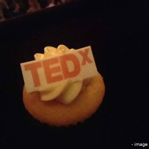 tedxamsterdamed 2013 links naar samenvat