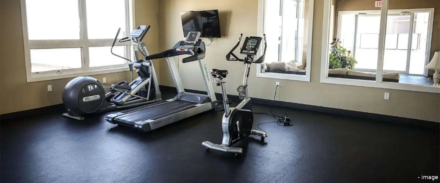 thuis fitness