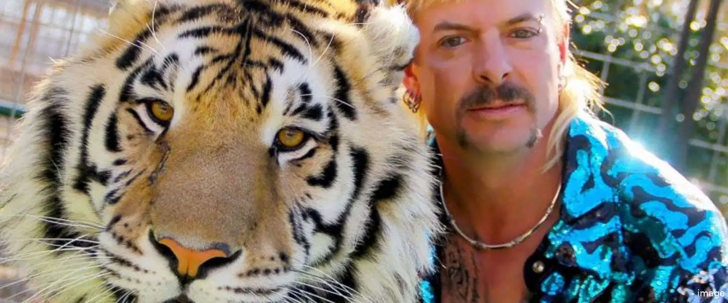 tigerking1 1