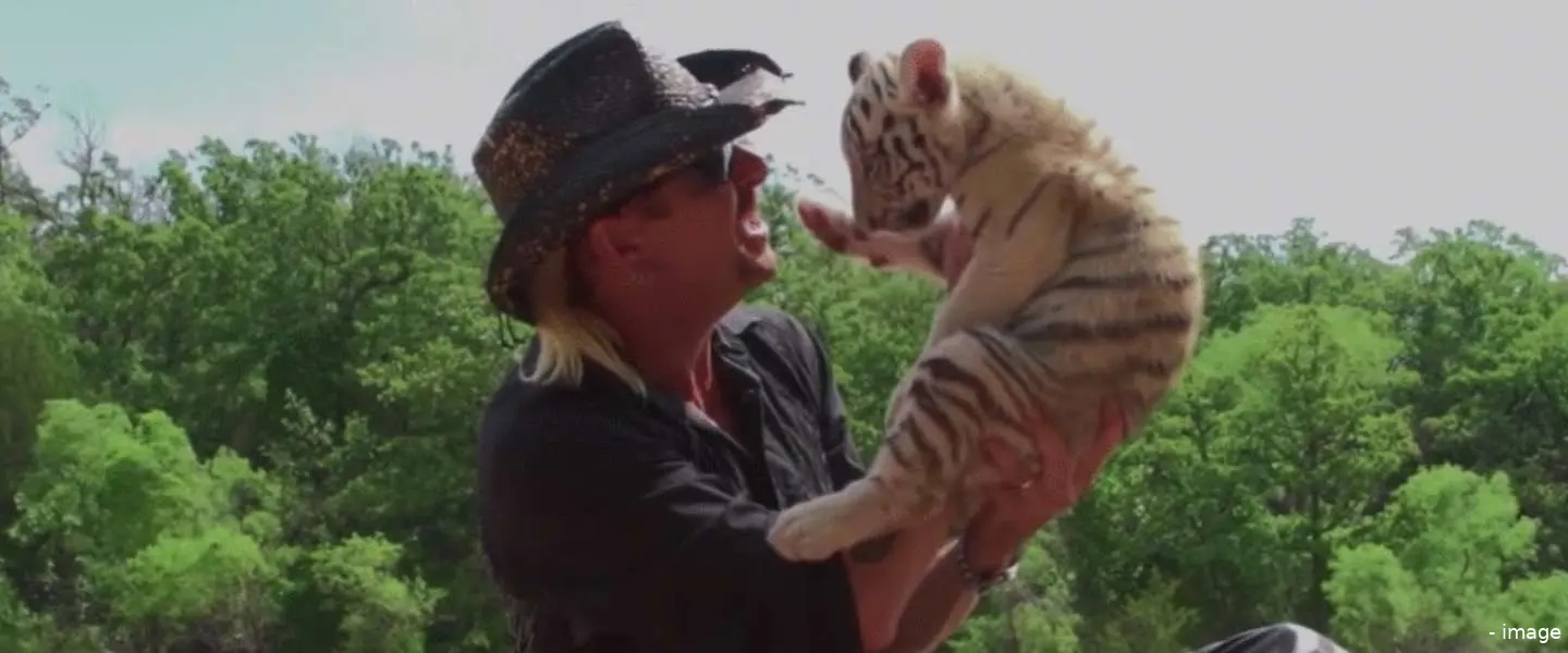 tigerking1