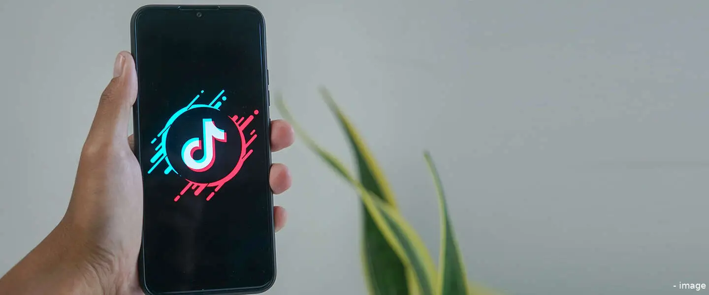 tiktok overheid