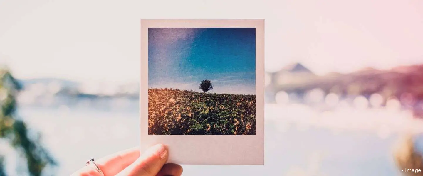 tiktok photos