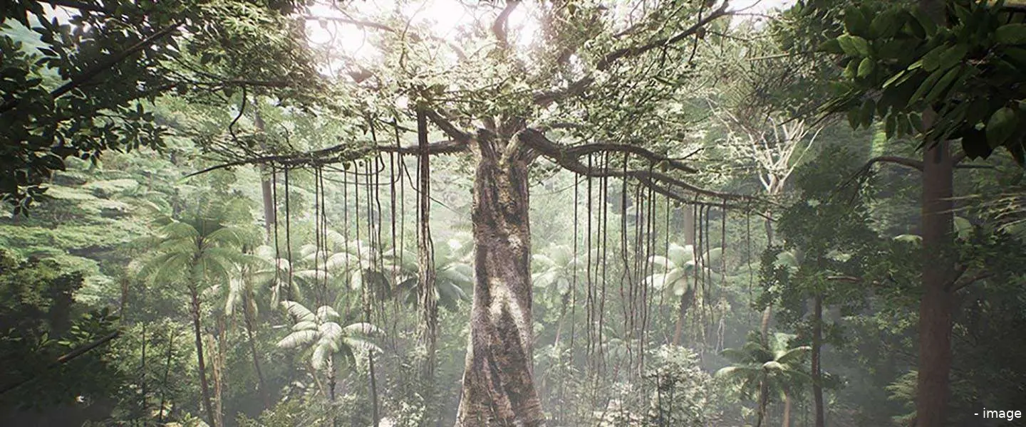 tree vr ervaring