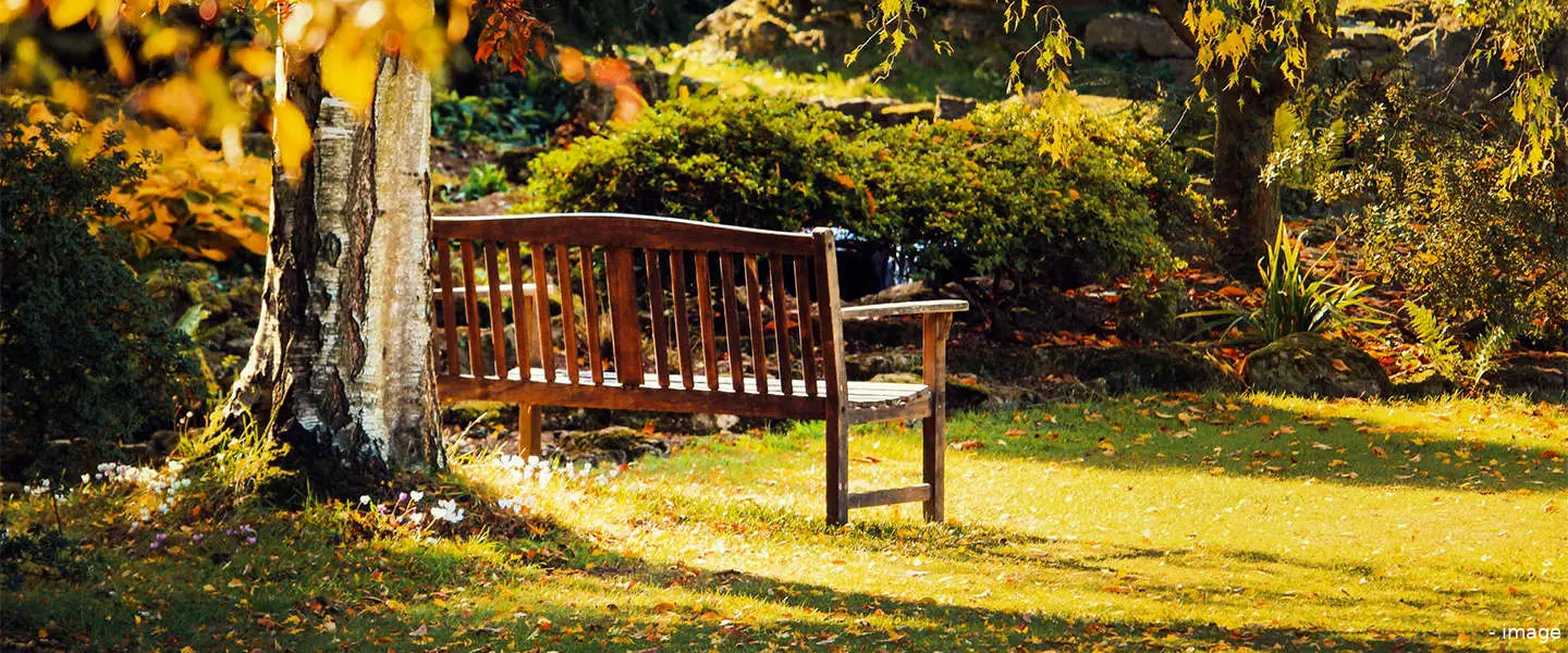 tuin herfst