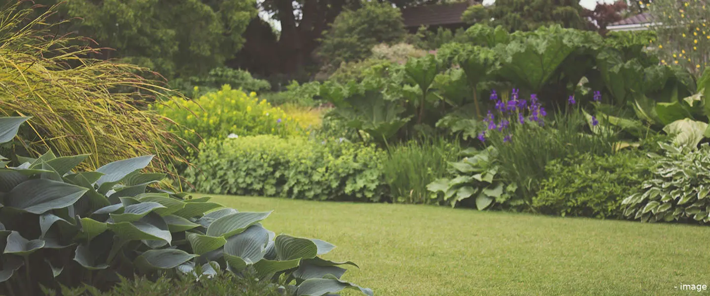 tuin herinrichten