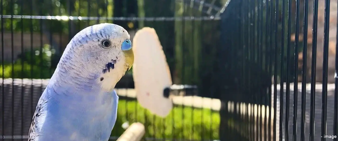 twitter 7
