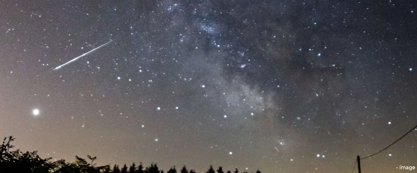 vallendester header