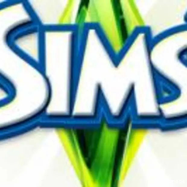 veel online mogelijk met de sims 3