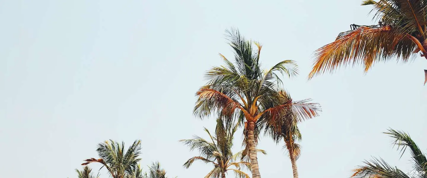 versoepelingen zomer 2021