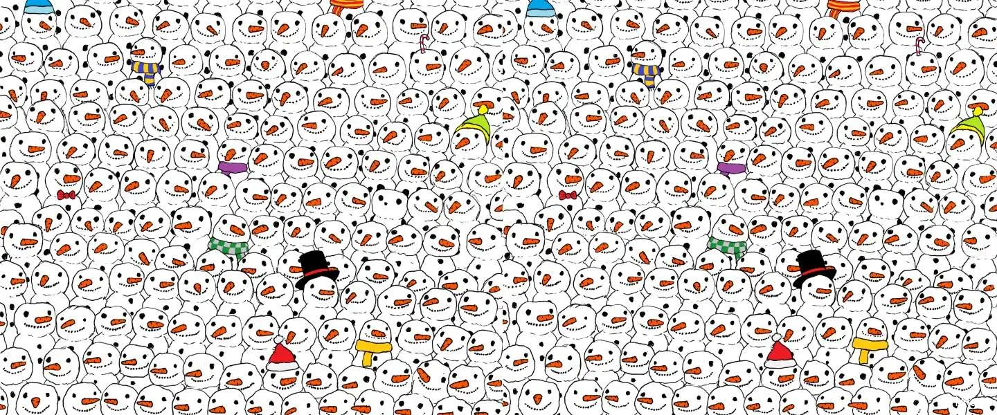 vind de panda puzzel