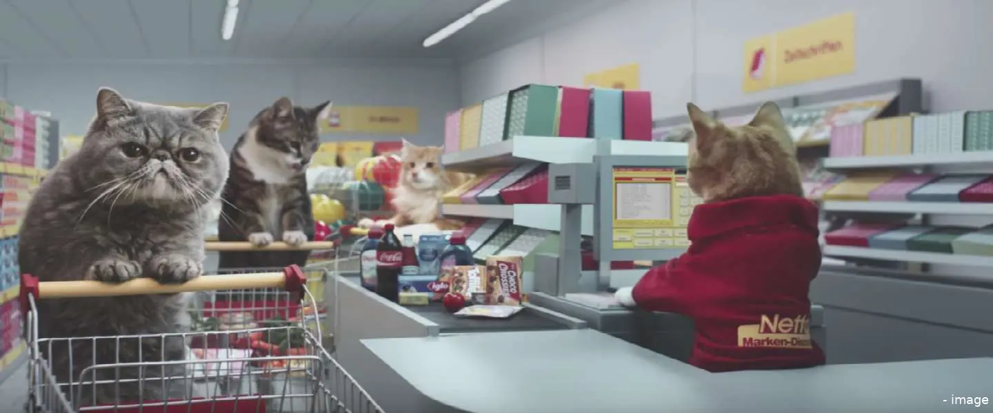 viral cats 1440
