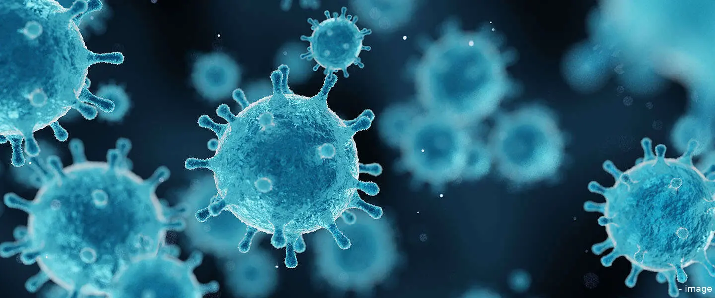 virusinfectie