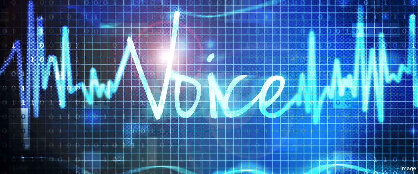 voice ing