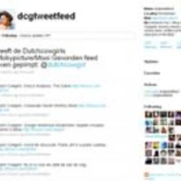 volg dutchcowgirls op twitter