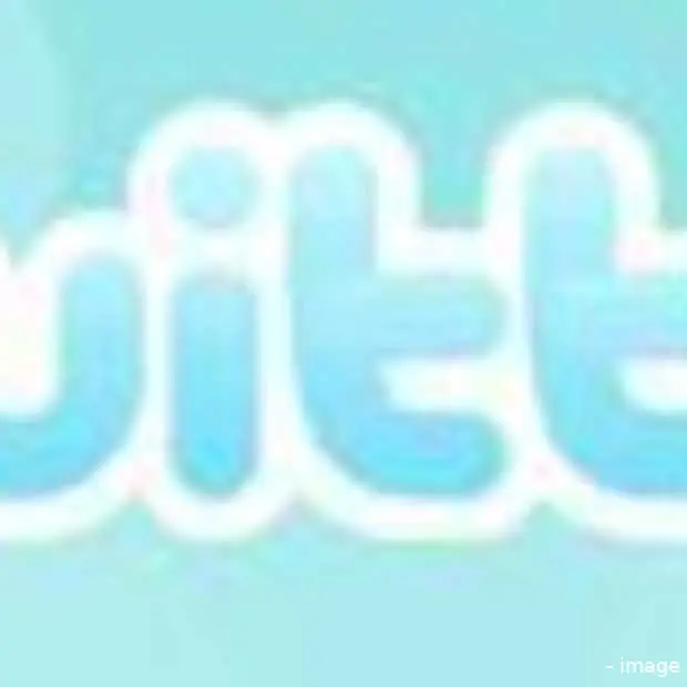 volgens techcrunch is twitter 250 miljoe