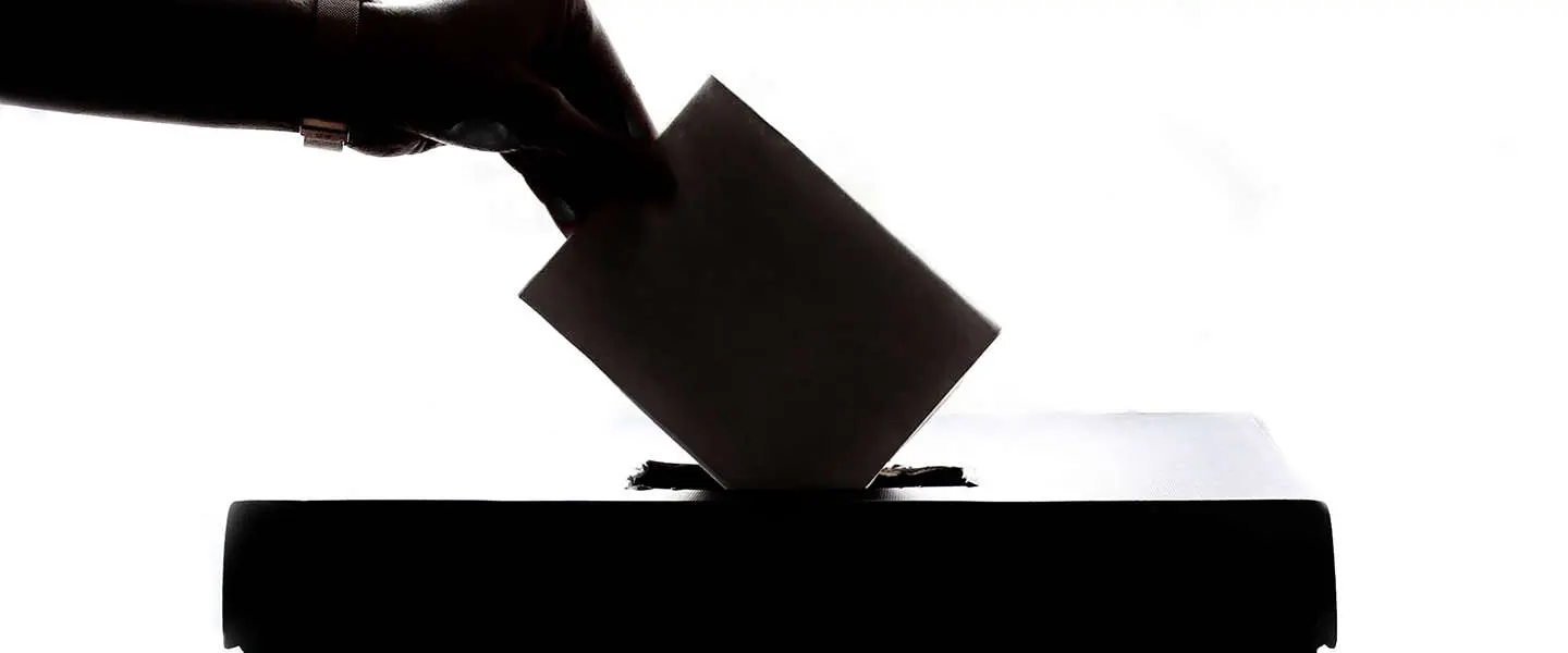 vote kiezen