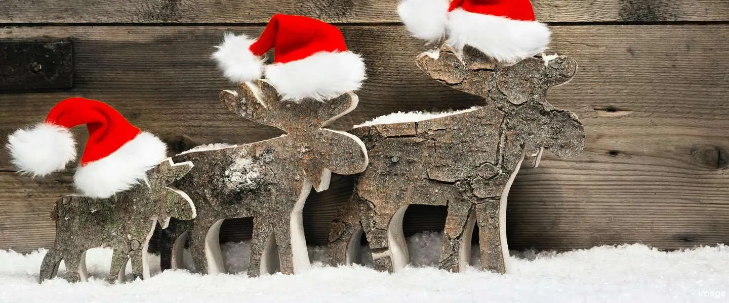 vrolijk kerstfeest