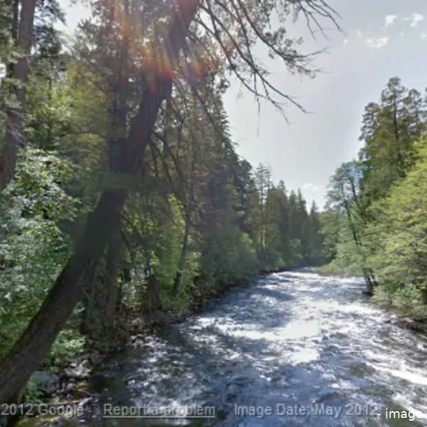wandelen door het bos met google s stree