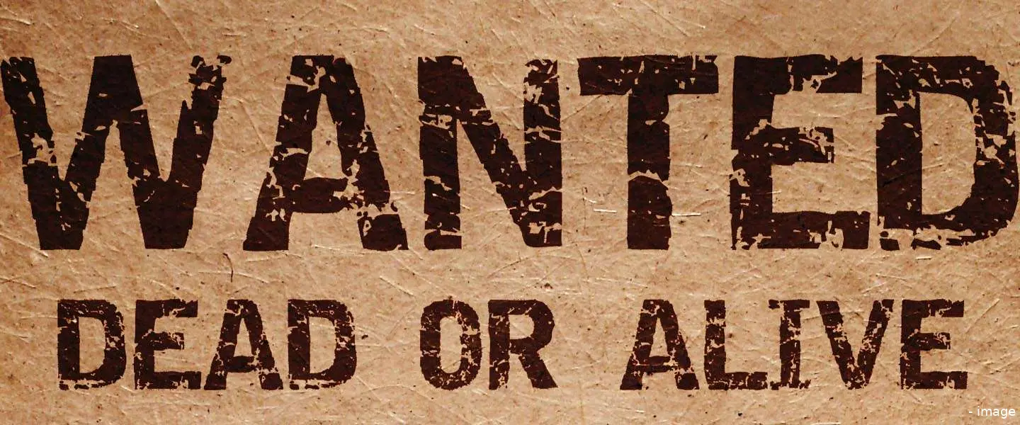 wanted dc vacatures 12