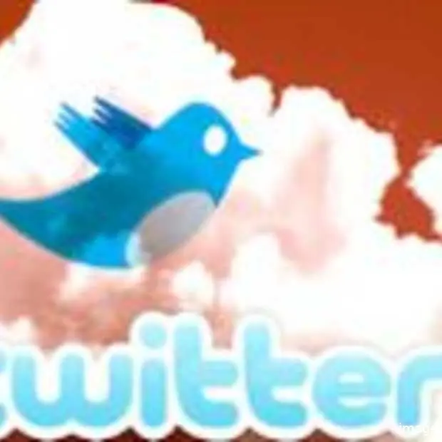 was 2009 online het jaar van twitter