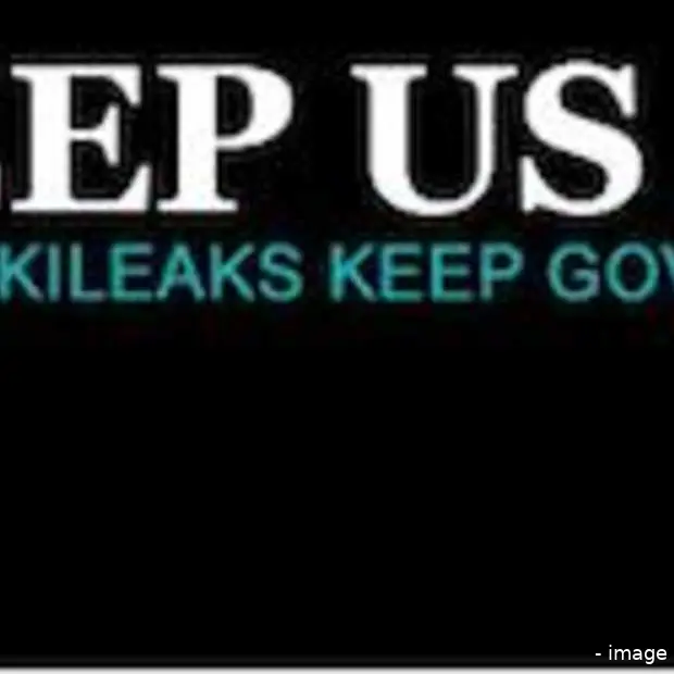 wikileaks op nederlands domein powned bi