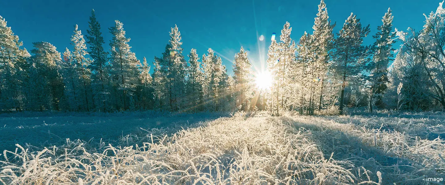 winterzon