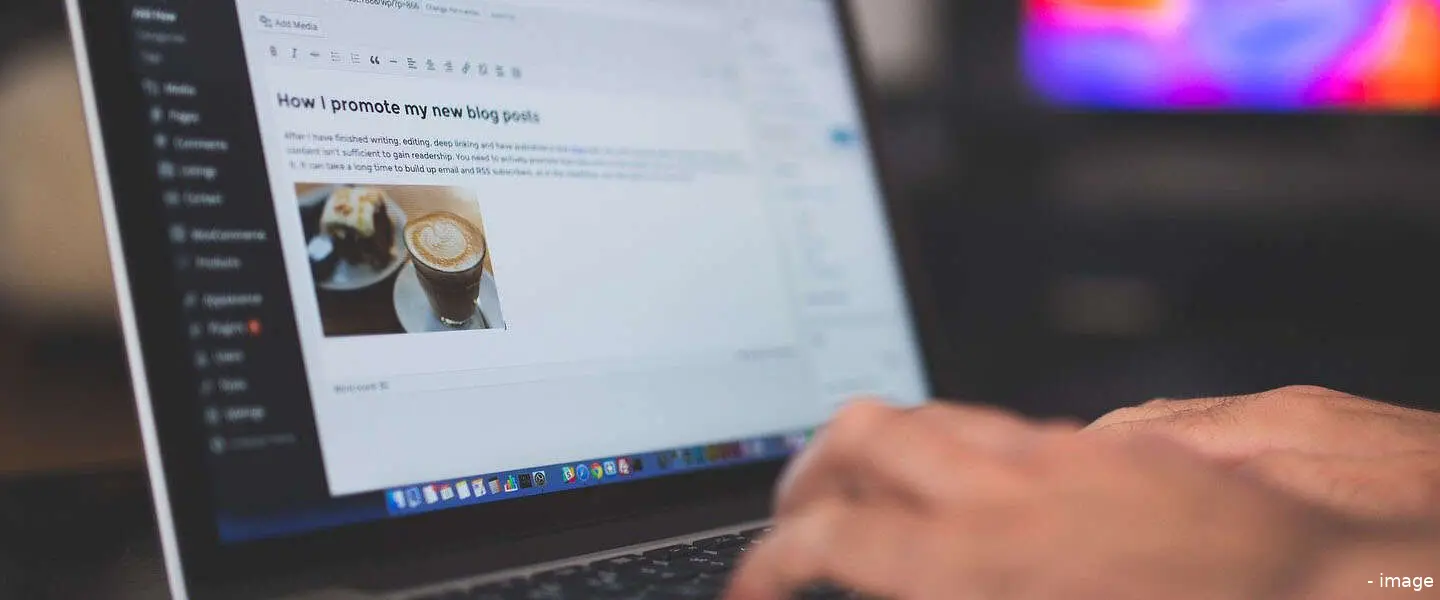 wordpress1