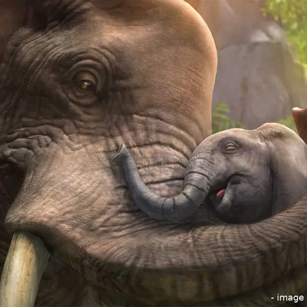 zoo tycoon competent maar braaf