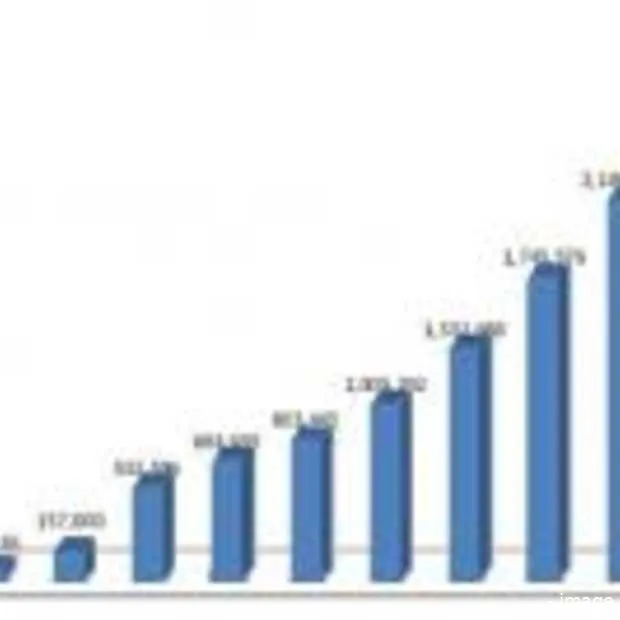 1 op 5 heeft een nl domeinnaam