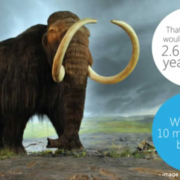 10 jaar skype infographic